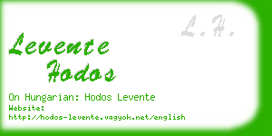 levente hodos business card